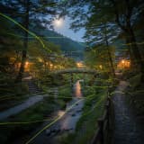 2026年 下部温泉ほたる公園:見頃時期と幻想的な夜を最大限に楽しむ完全ガイド